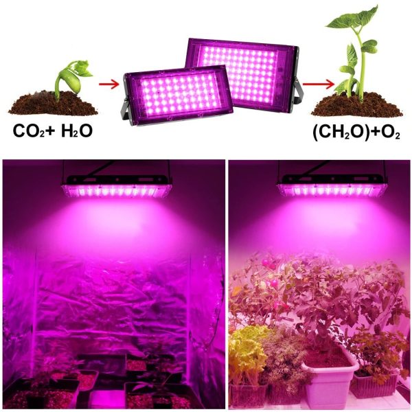 ginee_20251117182426862_7375644912.jpg TaffLED Grow Light LED Hidroponik Full Spectrum 2835 SMD 220V 50W - RO22