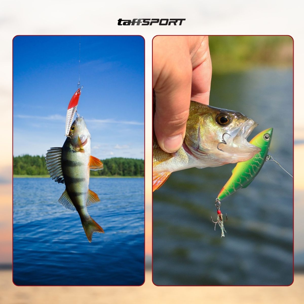 TaffSPORT Umpan Pancing Ikan Set Fishing Bait Kit 44 PCS with Case - DWS250-D