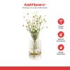 ginee_20260915171530251_7565515146.jpg TaffHOME Vas Bunga Kaca Bening Nordic Bottle Vases Flower Pot - MBF-13