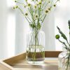 ginee_20260915171530883_6944579035.jpg TaffHOME Vas Bunga Kaca Bening Nordic Bottle Vases Flower Pot - MBF-13