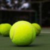 TaffSPORT PRO Bola Padel Ball Natural Rubber Core Felt Wool 3 PCS - X30